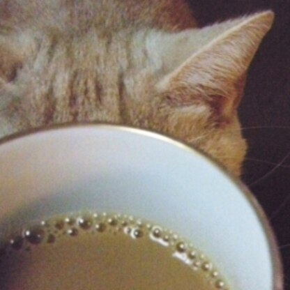 例の可愛いクマちゃんカップに対抗して私はリアル猫耳付きのカップだぁ(>_<)♪どぉだぁ～！我が家の癒しエッセンスなの^m^♡　癒し度UPで今日も美味しかった～☆